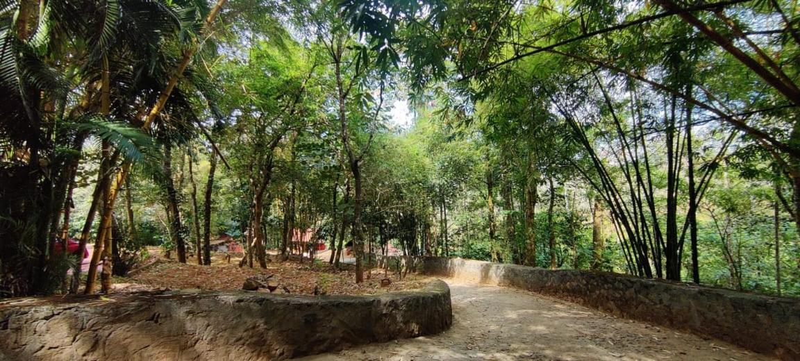Clay Resort By Bestinn Leisure - Wayanad Padinjarathara 外观 照片